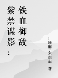 紫禁谍影：铁血御敌 封面