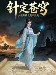 针定苍穹 封面