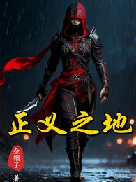 正义之地 封面