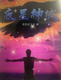 夜星神域 封面