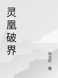 灵凰破界 封面