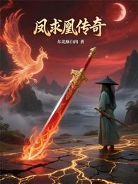 凤求凰传奇 封面