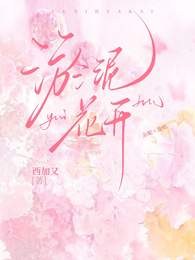 淤泥花开 封面