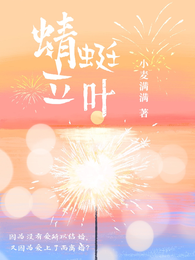 蜻蜓立叶 封面