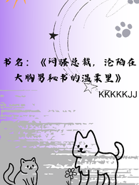 大胸男历险记 封面