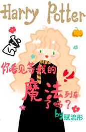 HP你看见等我的魔法列车了吗？ 封面