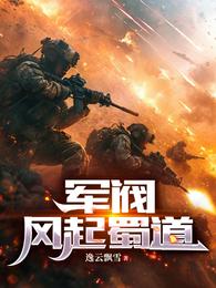 军阀:风起蜀道 封面