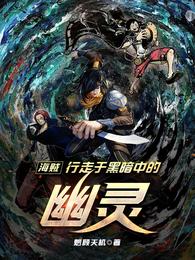 海贼：行走于黑暗中的幽灵 封面