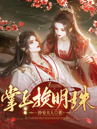 掌上换明珠 封面