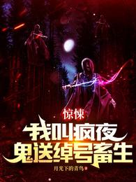 惊悚：我叫疯夜，鬼送绰号畜生 封面