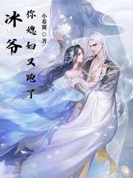 冰爷，你媳妇又跑了 封面