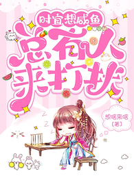 时宜想咸鱼总有人来打扰 封面