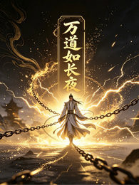 万道如长夜 封面