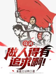 亮剑：做人得有追求啊！ 封面