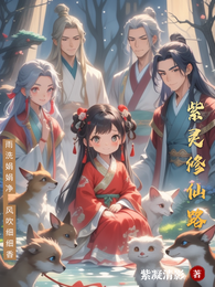 紫灵修仙路 封面