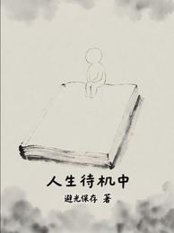 人生待机中 封面