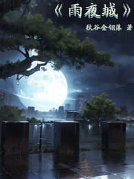 雨夜城 封面