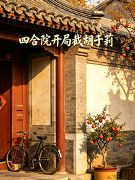 四合院：开局截胡于莉 封面