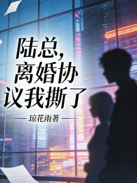 陆总,离婚协议我撕了 封面