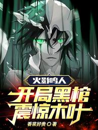 火影鸣人，开局黑棺震惊木叶 封面
