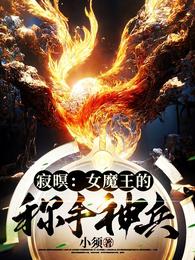 寂暝：女魔王的称手神兵 封面
