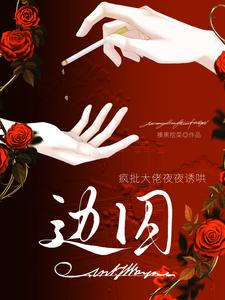 边囚：疯批大佬夜夜诱哄 封面