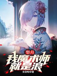 型月：我，魔术师，就是浪 封面