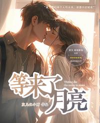 等来了月亮 封面