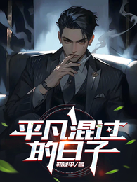 平凡混过的日子 封面
