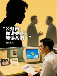 公务员:你讲关系?我讲条例! 封面