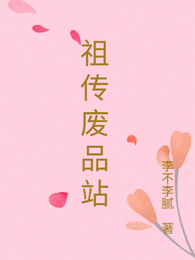 祖传废品站 封面