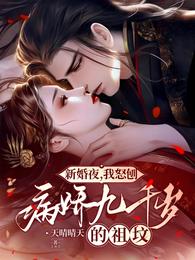 新婚夜，我怒刨病娇九千岁的祖坟 封面