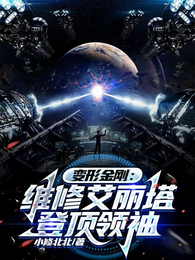 变形金刚：维修艾丽塔，登顶领袖 封面