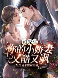 司先生,你的小娇妻又酷又飒 封面