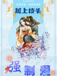 越上枝头强制爱 封面