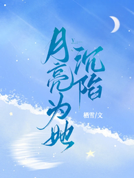 月亮为她沉陷 封面