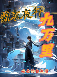 锦衣夜行九万里 封面