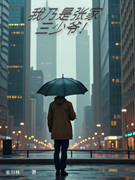 我乃是张家三少爷！ 封面