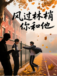 风过林梢你和他 封面