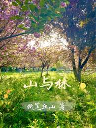 山与林 封面