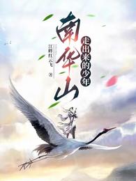 南华山走出来的少年 封面