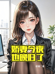 娇妻今夜也晚归了 封面