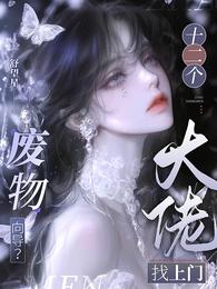 废物向导？十二个大佬找上门 封面