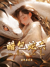 醋包蛇夫 封面