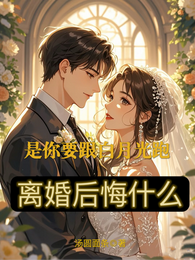 是你要跟白月光跑，离婚后悔什么 封面