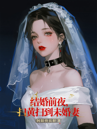 结婚前夜,扫黄扫到未婚妻 封面