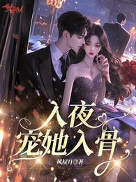 入夜,宠她入骨 封面