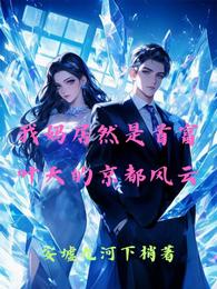 我妈居然是首富，叶天的京都风云 封面