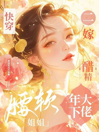 快穿：腰软姐姐二嫁醋精年下大佬 封面