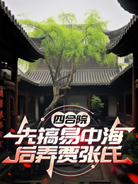 四合院:先搞易中海后弄贾张氏 封面